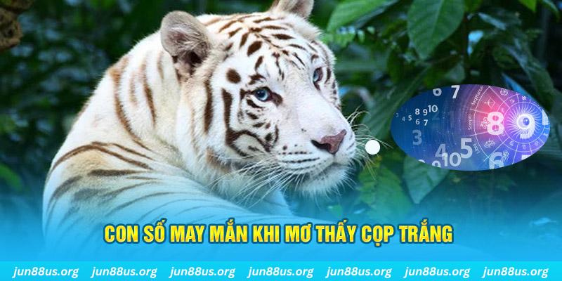 vnshbet sòng bạc tỷ lệ bóng đá